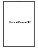 Trách nhiệm của CEO