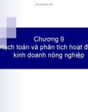 Hạch toán và phân tích hoạt động kinh doanh nông nghiệp