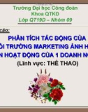 Báo cáo: phân tích tác động của 2 môi trường marketing ảnh hưởng đến hoạt động của 1 doanh nghiệp (Lĩnh vực thể thao)