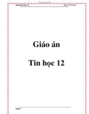 Giáo án tin lớp 12