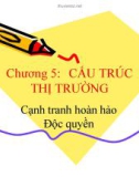 Bài giảng Kinh tế học vi mô và ứng dụng: Chương 5