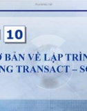 Bài giảng điện tử môn tin học: Cơ bản về lập trình bằng Transact_SQL