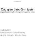 Bài giảng Các giao thức định tuyến: Các giao thức định tuyến nội vùng (Interior gateway protocol)