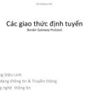 Bài giảng Các giao thức định tuyến: Border gateway protocol