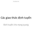 Bài giảng Các giao thức định tuyến: Định tuyến cho mạng quang