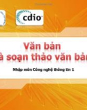 Bài giảng Nhập môn Công nghệ thông tin 1: Văn bản và soạn thảo văn bản