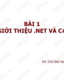 Bài giảng ngôn ngữ C#: Bài 1 - Chử Đức Hoàng