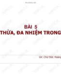 Bài giảng ngôn ngữ C#: Bài 5 - Chử Đức Hoàng