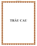 TRẦU CAU.