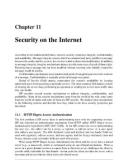 Chapter 11 - Security on the Internet