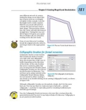 Illustrator CS4 For Dummies- P5