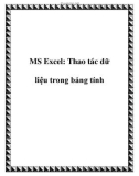 MS Excel: Thao tác dữ liệu trong bảng tính