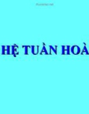 Bài giảng Hệ tuần hoàn (35 trang)