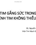 Bài giảng Siêu âm tim gắng sức trong đánh giá bệnh tim không thiếu máu - BS. Nguyễn Phương Anh