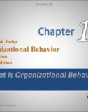 Lesson What is organizational behavior