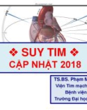 Bài giảng Suy tim cập nhật 2018 - TS. BS. Phạm Minh Tuấn