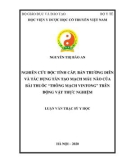 Luận văn Thạc sĩ Y học: Nghiên cứu độc tính cấp, bán trường diễn và tác dụng tân tạo mạch máu não của bài thuốc “Thông mạch Vintong” trên động vật thực nghiệm