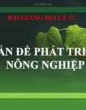 Bài giảng Địa lý 12 bài 22: Vấn đề phát triển nông nghiệp