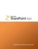 SharePoint 2010 For End User