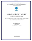 Khóa luận tốt nghiệp: Một số giải pháp nâng cao hiệu quả hoạt động kinh doanh của Công ty cổ phần Quốc tế Bắc Việt Nam