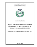 Khóa luận tốt nghiệp đại học ngành Dược học: Nghiên cứu độc tính cấp và tác dụng bảo vệ gan của viên nang Ngũ vị tử (Schisandra sphenanthera Rehder et Wills.)