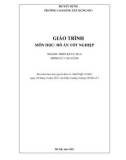 Giáo trình Đồ án tốt nghiệp (Ngành: Thiết kế đồ họa - Cao đẳng) - Trường Cao đẳng Xây dựng số 1