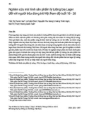 Nghiên cứu mô hình sản phẩm lý tưởng bia Lager đối với người tiêu dùng trẻ Việt Nam độ tuổi 18 - 28