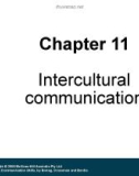 Lecture Communication skill: Chapter 11 - Tracey Bretag, Joanna Crossman, Sarbari Bordia