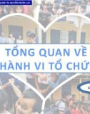 Bài giảng Hành vi tổ chức: Chương 1 - TS. Nguyễn Thị Bích