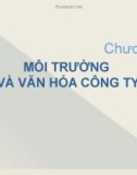 Bài giảng môn Quản trị học - Chương 3: Môi trường và văn hóa công ty