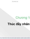 Bài giảng môn Quản trị học - Chương 16: Thúc đẩy nhân viên