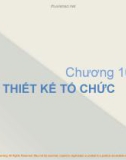 Bài giảng môn Quản trị học - Chương 10: Thiết kế tổ chức