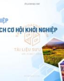 Bài giảng Khởi nghiệp: Phân tích cơ hội khởi nghiệp