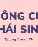 Bài giảng Công cụ phái sinh: Chương 1