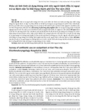 Khảo sát tình hình sử dụng kháng sinh trên người bệnh điều trị ngoại trú tại Bệnh viện Tai Mũi Họng thành phố Cần Thơ năm 2023