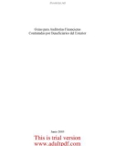 Guías para Auditorías Financieras Contratadas por Beneficiarios del Exterior Junio 2003_part1