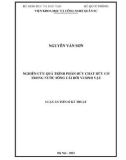 Luận án Tiến sĩ Kỹ thuật: Nghiên cứu quá trình phân hủy chất hữu cơ trong nước sông cái bởi vi sinh vật