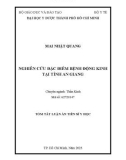 Tóm tắt Luận án Tiến sĩ Y học: Nghiên cứu đặc điểm bệnh động kinh tại tỉnh An Giang