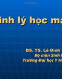 Bài giảng Sinh lý học máu - BS.TS.Lê ĐìnhTùng