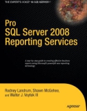 Apress - Pro SQL Server 2008 Reporting Services (2008)01