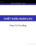 Bài giảng Thẩm định dự án đầu tư: Chiết khấu ngân lưu - Phạm Thị Thu Hồng