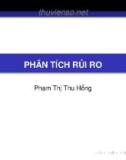 Bài giảng Thẩm định dự án đầu tư: Phân tích rủi ro - Phạm Thị Thu Hồng