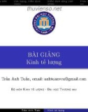 Bài giảng Kinh tế lượng: Chương 3 - Trần Anh Tuấn