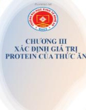 Bài giảng Dinh dưỡng và thức ăn chăn nuôi: Chương 3 - TS. Nguyễn Đình Tường