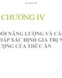 Bài giảng Dinh dưỡng và thức ăn chăn nuôi: Chương 4 - TS. Nguyễn Đình Tường