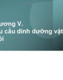 Bài giảng Dinh dưỡng và thức ăn chăn nuôi: Chương 5 - TS. Nguyễn Đình Tường