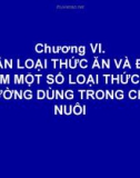 Bài giảng Dinh dưỡng và thức ăn chăn nuôi: Chương 6 - TS. Nguyễn Đình Tường