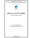 Khóa luận tốt nghiệp: Một số giải pháp nhằm mở rộng hoạt động tín dụng tại Ngân hàng TMCP Tiên Phong - Chi nhánh Hải Phòng