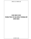 Các báo cáo phân tích và dự báo thống kê năm 2023