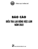 Báo cáo điều tra lao động và việc làm năm 2022: Phần 1